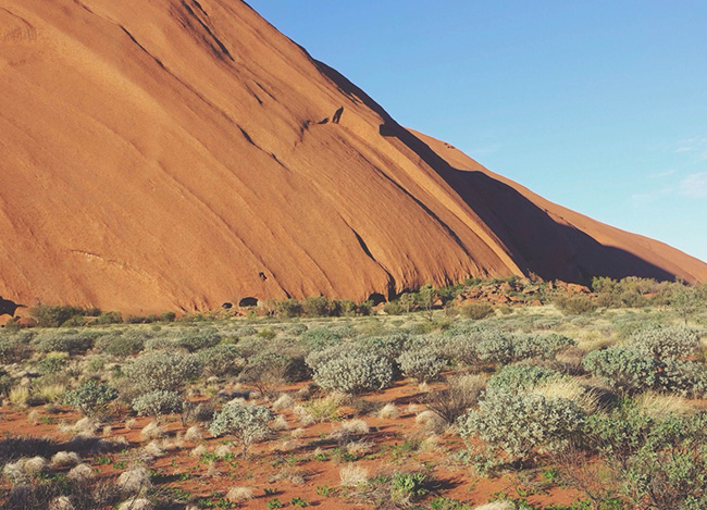 免费ddos在线攻击测试网站